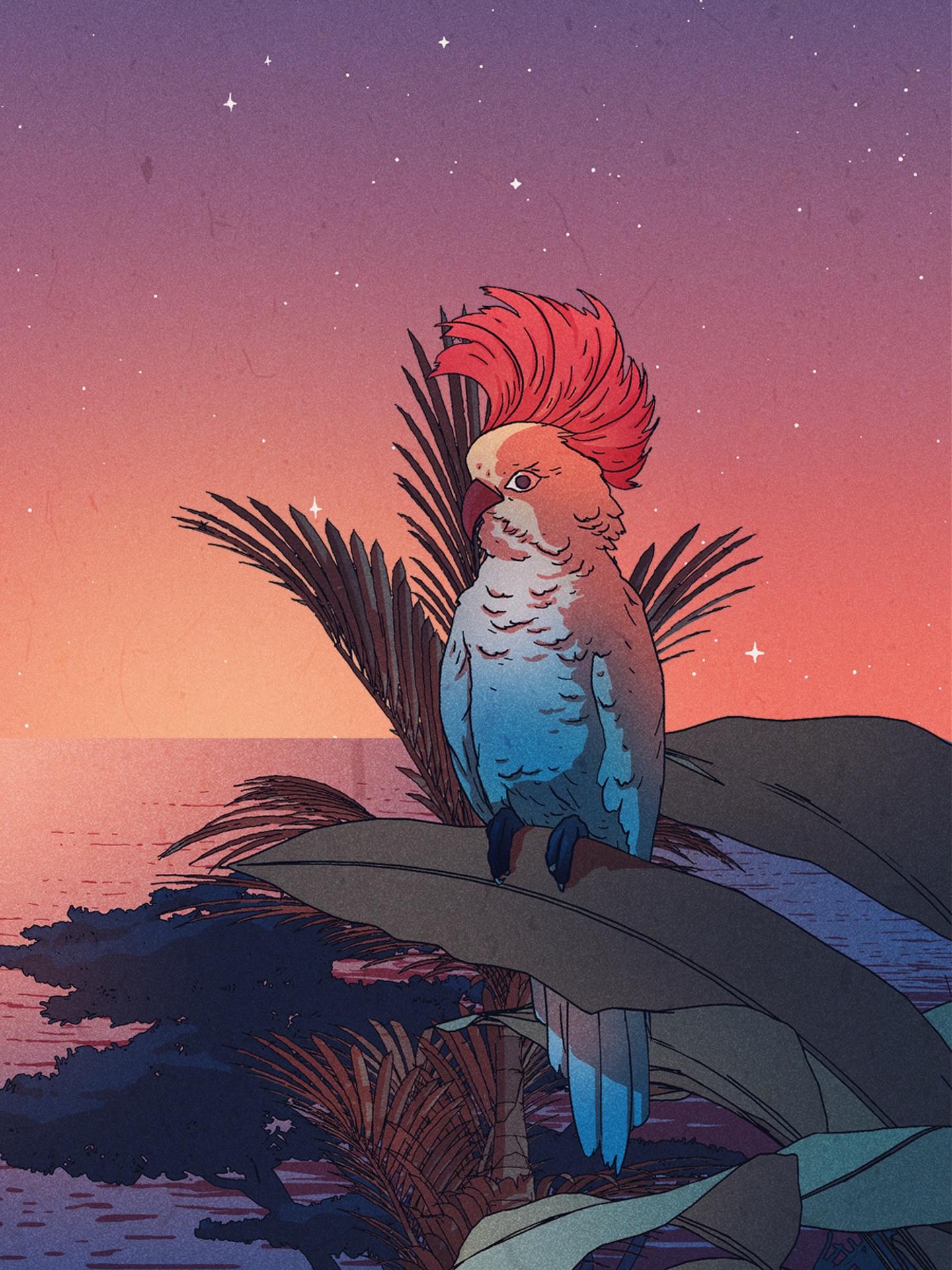 Bientôt la programmation